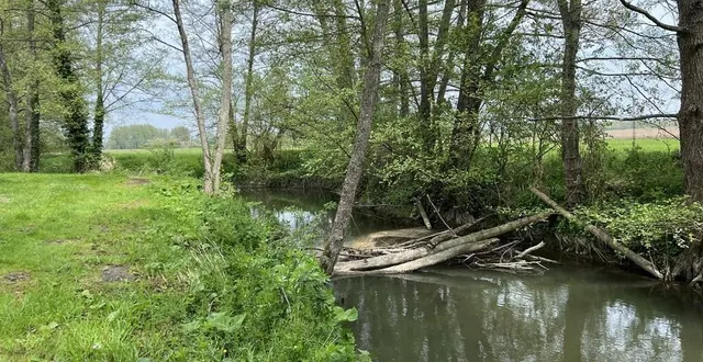 photo  la première « boucle » du parcours longe la braye, en bas du bourg de vibraye.  &copy;  yanne boloh 