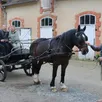 photo  avant le départ d’une promenade en calèche, daniel boittin, aux commandes avec ses passagers et patrice favier, maire, à droite. 