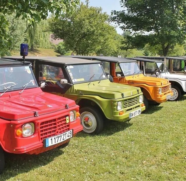 photo une vingtaine de citroën méhari se sont arrêtées à la halte fluviale de juigné-sur-sarthe.  ©  ouest-france