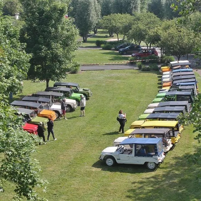 photo les citroën méhari rassemblées à la halte fluviale de juigné, vues depuis le pont sur la sarthe.  ©  ouest-france