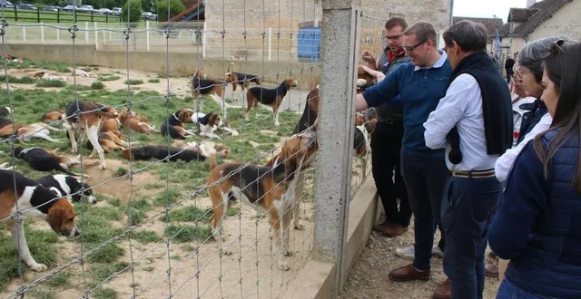 photo  kévin péron, piqueux, au centre, a fait partager aux visiteurs sa passion pour les chiens.  &copy;  le maine libre 