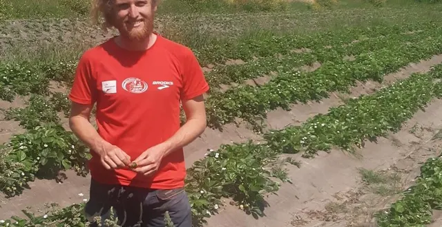 photo  quentin oger au milieu de sa nouvelle parcelle de fraisiers au milieu d’une nature très apaisante.  &copy;  ouest-france 