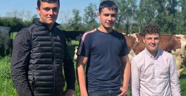 photo  alban, 17 ans, nolan, 18 ans et armand, 17 ans préparent un bac professionnel enseignement agricole (ea).  &copy;  ouest-france 