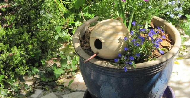 photo  des nichoirs sont à la disposition des oiseaux dans un bac à fleurs ou accrochés à un arbre.  &copy;  ouest-france 