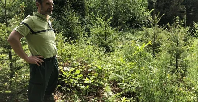 photo  damien gillot est technicien forestier territorial en charge du mont des rhodos, à cerisy-belle-étoile (orne).  &copy;  ouest-france 