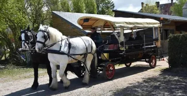 photo  un nouveau circuit d’environ 6 km sera proposé aux passagers de la calèche. il partira de la place saint-germain à argentan (orne) pour rejoindre la campagne d’urou et sai.  &copy;  ouest-france 