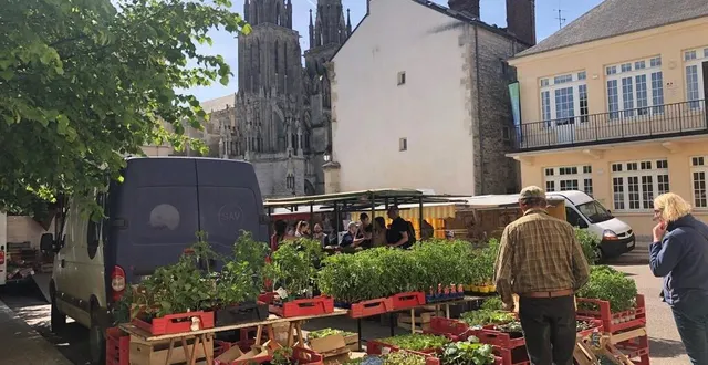 photo  le marché de sées (orne) se tient le samedi matin.  &copy;  ouest-france 