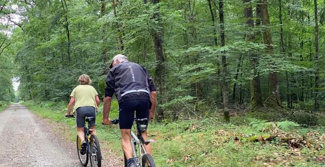 photo  ces derniers jours, les orages ont causé des dégâts dans la forêt de la petite charnie, à l’ouest de la sarthe. l’accès au public est interdit durant les travaux de sécurisation.  &copy;  archives ouest-france 