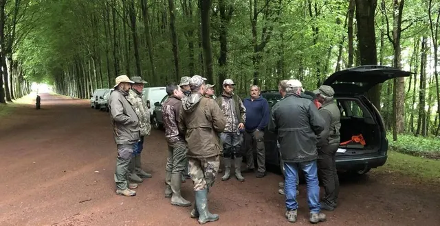 photo  une dizaine de chasseurs ont procédé à une battue aux corbeaux et corneilles ce lundi 23 mai 2022 à flers, dans l’orne.  &copy;  ouest-france 