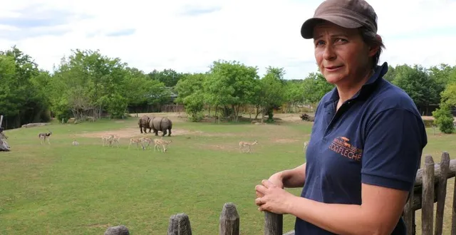 photo  le 25 mai 2017, le zoo de la flèche (sarthe) ouvrait au public la plaine asiatique. une extension de 4 hectares, la plus grande réalisée par le parc depuis sa création en 1946. sabrina, en charge de la plaine, raconte.  &copy;  ouest-france 