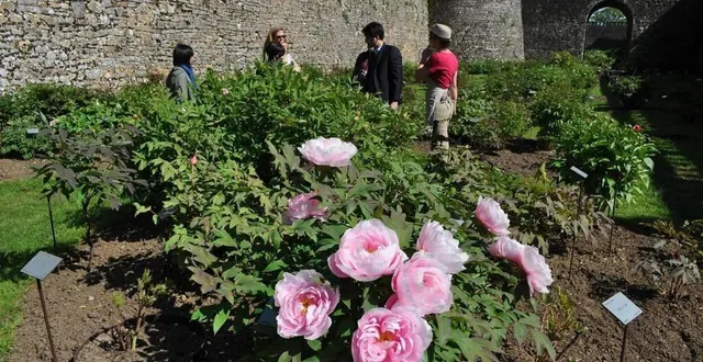 photo  vendredi 27 mai, le château et son parc seront ouverts pour des visites guidées et un concert.  &copy;  archives le maine libre 