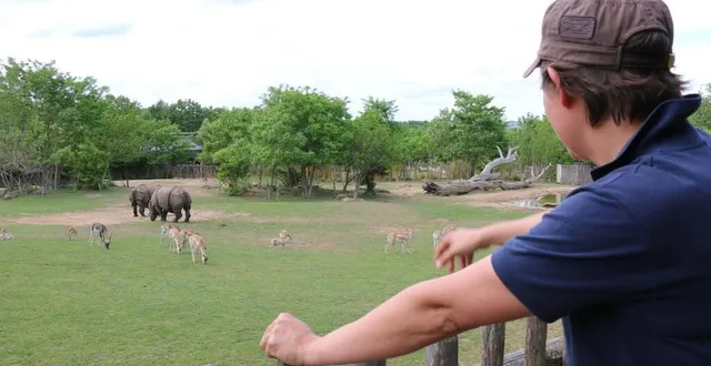 photo  le 25 mai 2017, le zoo de la flèche (sarthe) ouvrait au public la plaine asiatique. une extension de 4 hectares, la plus grande réalisée par le parc depuis sa création en 1948.  &copy;  ouest-france 