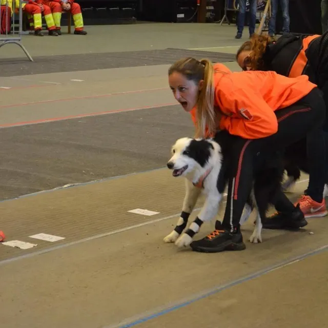 photo coraline mousset avec sa chienne jaguar, lors d’un départ.  ©  thermiks vikings