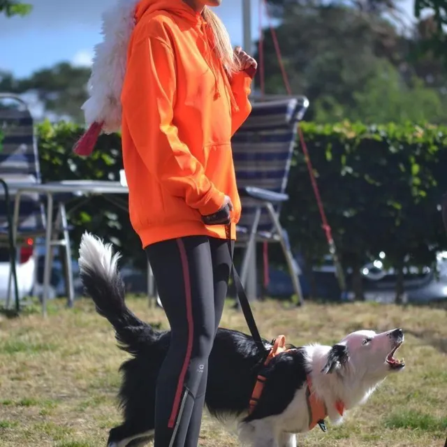 photo coraline mousset lors des mondiaux 2022 de flyball.  ©  thermiks vikings