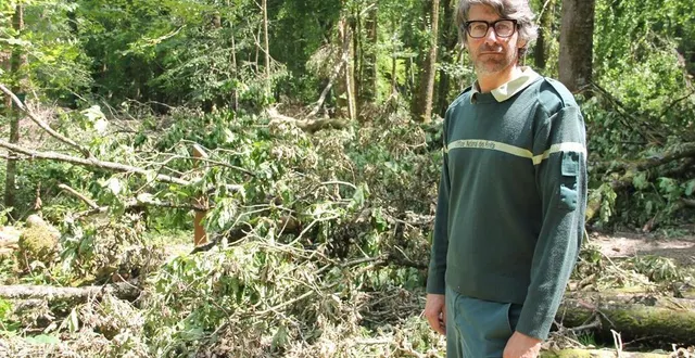 photo  georges donnot, technicien forestier territorial de l’office national des forêts (onf) en sarthe, devant une des parcelles de la forêt de la petite charnie, touchée par un gros coup de vent.  &copy;  ouest-france 