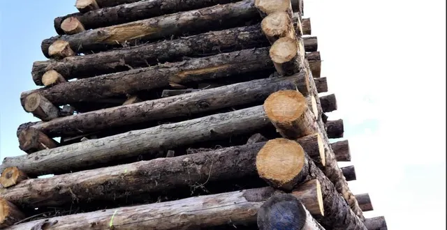 photo  les membres du bureau du comité des fêtes devant l’impressionnant bûcher de la saint-jean.  &copy;  ouest-france 