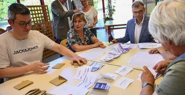 photo  dix candidats sont qualifiés pour le second tour des élections législatives.  &copy;  denis lambert 
