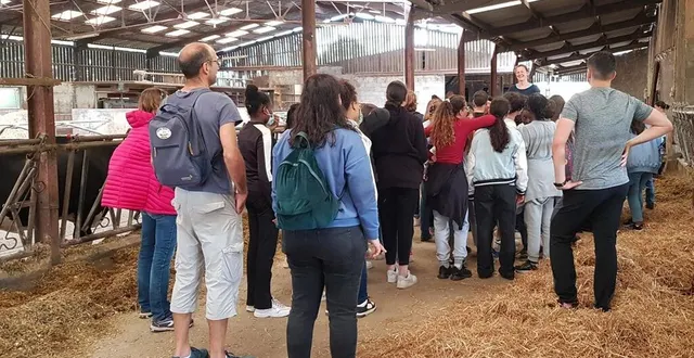 photo  les élèves de 6e des collèges jean-zay de saint-gratien et la foresterie de bonnétable, découvrent la ferme de la grande mousse.  &copy;  le maine libre 