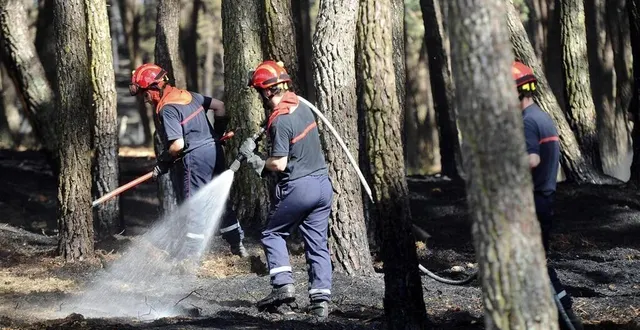photo  ce mardi les pompiers sont intervenus dans un sous-bois qui longe les hunaudières à ruaudin.  &copy;  archives le maine libre – hervé petitbon 