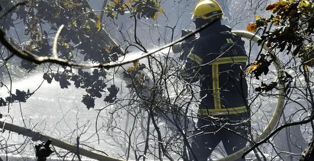 photo  un feu de forêt s’est déclaré ce mercredi 15 juin 2022, peu avant 16 h, à saint-mars-la-brière, à l’est du mans (sarthe). 500 m² de végétation sont partis en fumée.  &copy;  thierry creux/archives ouest-france 