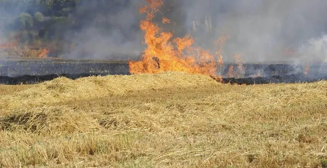 photo  à saint-germain-d’arcé, lieu-dit etival, un engin agricole a pris feu en fin d’après-midi dans un champ de foin. les flammes ont parcouru un hectare et demi.  &copy;  archives le maine libre 