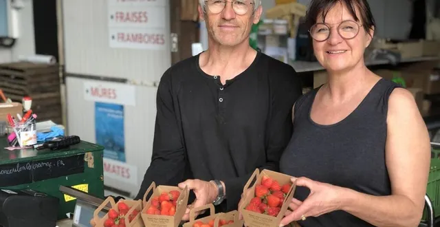 photo  jean-marc coulon et sa compagne isabelle ont plusieurs canaux pour vendre leur production de fraises bio.  &copy;  le maine libre 