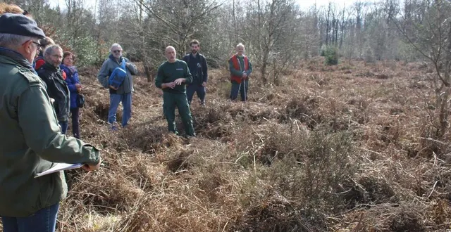photo  en avril, lors d’une randonnée à la découverte de la biodiversité, jérôme dodier, technicien territorial onf, au centre, présente une zone de végétation sèche (fougères ), fortement exposée à un risque d’incendie.  &copy;  archives le maine libre 
