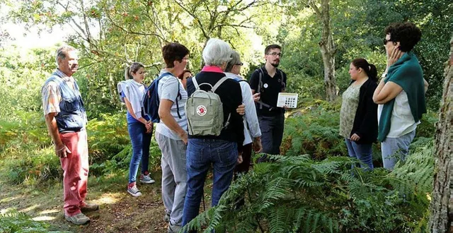 photo  nicolas blanchard, guide conférencier passionné de la forêt d’écouves, organise six randonnées pendant l’été, à la découverte du massif.  &copy;  archives ouest-france 