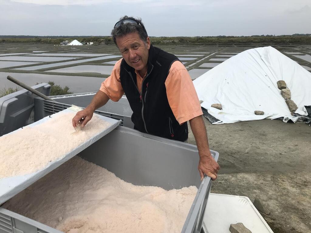 Loire-Atlantique : à Guérande, la sécheresse provoque une récolte de sel  exceptionnelle