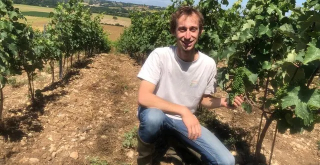 photo  parti de zéro, jordan mathan a planté 30 000 pieds de vigne entre 2018 et 2020.  &copy;  ouest-france 