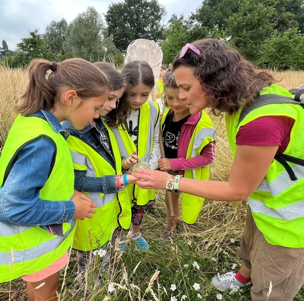 SainteLucesurLoire. Les mercredis nature sur la trace des insectes