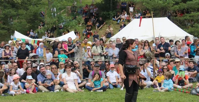 photo  les vols de rapaces avec vol en scène ont séduit petits et grands.  &copy;  ouest-france 