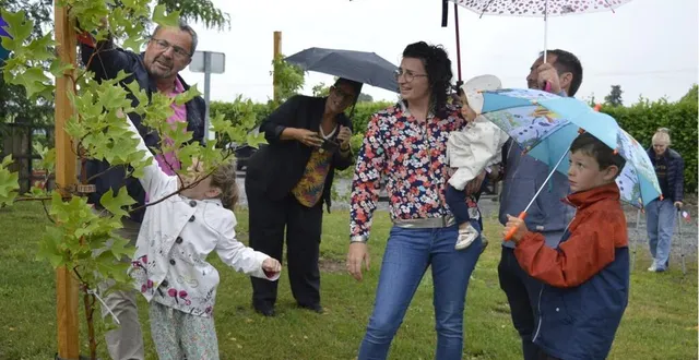 photo  sous la pluie, trois élus ont fait découvrir aux parents les arbres portant dorénavant le prénom de leur enfant.  &copy;  le maine libre 