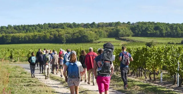 photo  la randonnée au milieu des vignes revient les 3 et 4 septembre.  &copy;  s. frémond 