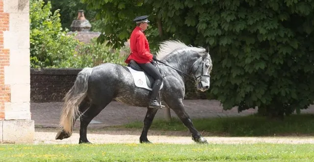 photo  depuis le 1er juillet, le haras national du pin devient la propriété du département de l’orne.  &copy;  haras du pin 