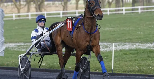 photo  dexter chatho rendra pas moins de 50 mètres aux chevaux qui partiront au premier poteau. c’est beaucoup même le cheval de l’écurie mayennaise bigeon a des ressources.  &copy;  letrot.com 