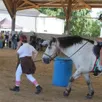 photo le parcours de maniabilité à cheval ou à poney était prisé.