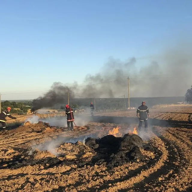 photo le feu a détruit cinq hectares de chaume  ©  photo le maine libre