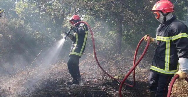 photo  trois hectares de cultures ont brûlé, ce vendredi après-midi, dans l’orne.  &copy;  illustration ouest-france 