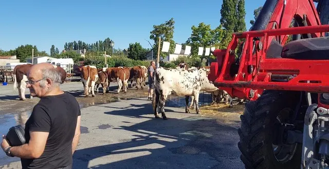 photo  le bal des tracteurs qui déposent les animaux à commencer à partir de 9 h le matin.  &copy;  ouest france 