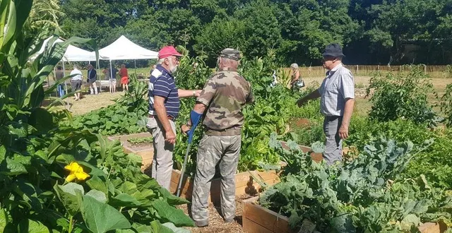 photo  discuter, prendre le temps de voir les légumes pousser et récolter ensemble afin de se partager les légumes, voici les grands axes de ce « jardin des amis de montreux ».  &copy;  ouest france 