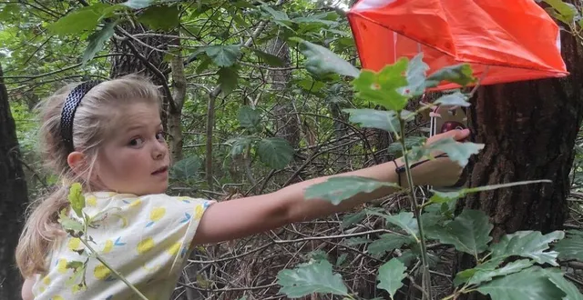 photo  une activité en pleine nature idéale pour les jeunes.  &copy;  ouest-france 