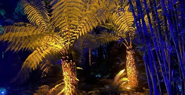 photo  terra nocta, la nouvelle attraction de terra botanica, est à découvrir à partir du 14 juillet.  &copy;  ouest-france 