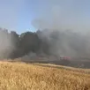 photo  un feu de récolte à courcelles-la-forêt a brûlé 2 hectares de cultures. 