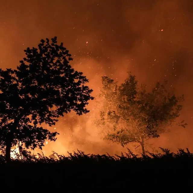 photo des arbres qui brûlent à une centaine de mètres de maisons vers les communes de landiras et guillos, dans le sud-ouest de la france, le mercredi 13 juillet 2022.  ©  thibaud moritz / afp