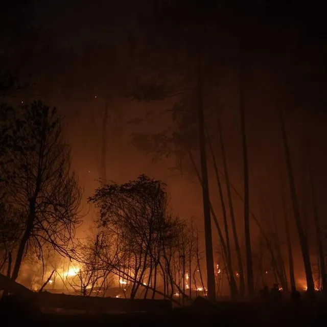 photo la pinède en feu dans le secteur de cazaux, dans la nuit du 14 au 15 juillet 2022.  ©  thibaud moritz / afp