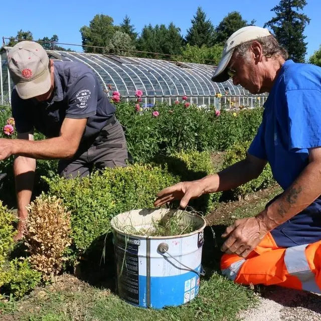 photo les 13 000 m2 du jardin nécessitent un entretien quotidien.  ©  ouest-france
