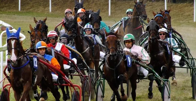 photo  huit courses de trot auront lieu ce mardi 19 juillet 2022 à l’hippodrome des hunaudières au mans (sarthe).  &copy;  archives ouest-france 
