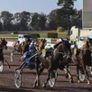 photo  chevaux comme cavaliers préparent longuement leurs courses ! 