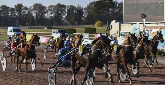photo  chevaux comme cavaliers préparent longuement leurs courses !  &copy;  archives le maine libre – denis lambert 